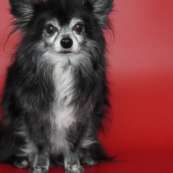 澳门博彩捕鱼游戏